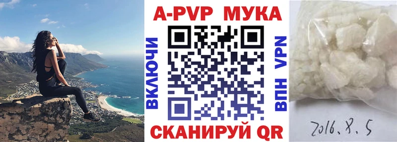 OMG сайт  купить наркоту  Высоцк  APVP СК КРИС 