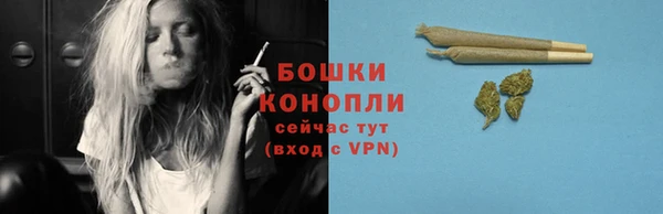 твердый Богданович