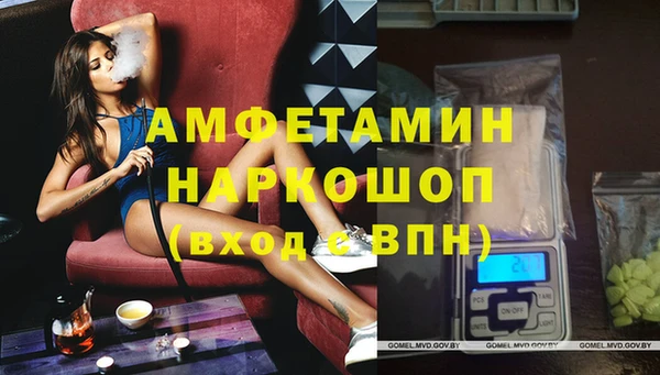 твердый Богданович