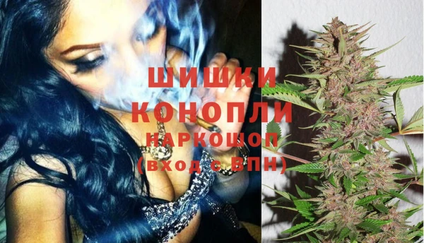 твердый Богданович