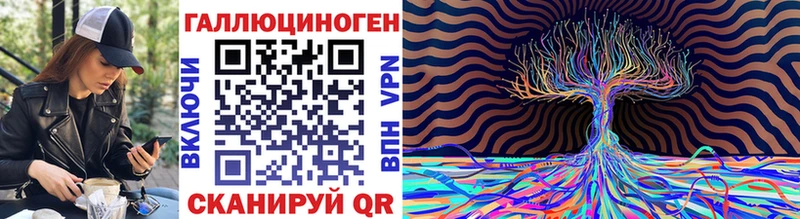 Галлюциногенные грибы Psilocybe  площадка клад  Высоцк 